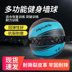 Fitness Wall Ball Weighted Ball Fitness Equipment Eco-Friendly Non-Elastic Solid Gravity Ball Yoga Fitness Soft Medicine Ball Wall Ball