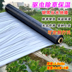 Brand New Silver-Black Dual-Color Ground Film, Thickened Insect-Proof Reflective Ground Film, Weed Control and Insulation Ground Film for Agricultural Use