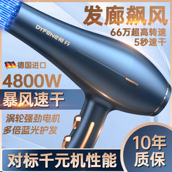 German Hair Dryer for Home Use, High-Power, Professional Salon-Grade, 4800W, Negative Ion Hair Care, Quick-Dry Hairdryer
