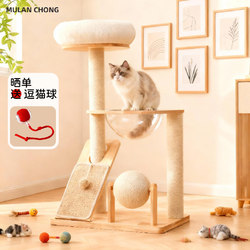 Solid Wood Cat Climbing Frame for Home Use in Small Apartments, Does Not Take up Space, Cat Scratching Board, Integrated Cat Bed, Multi-Layer Space Capsule, Wear-Resistant and Does Not Shed Debris