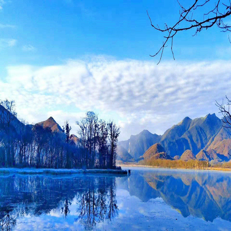 武汉宜昌出发神农架旅游3天2晚神龙架大九湖纯玩含景交可选高动车