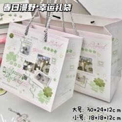 Springtime Wildflower Lucky Gift Bag Ins High-Value Creative Birthday Gift Handheld Packaging Bag Thickened Shopping Bag