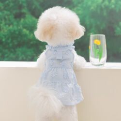 Japanese Small Dog Clothes New Summer Style for Teddy, Bichon, Yorkie Small Dogs, Thin Spring Outfit Princess Dress