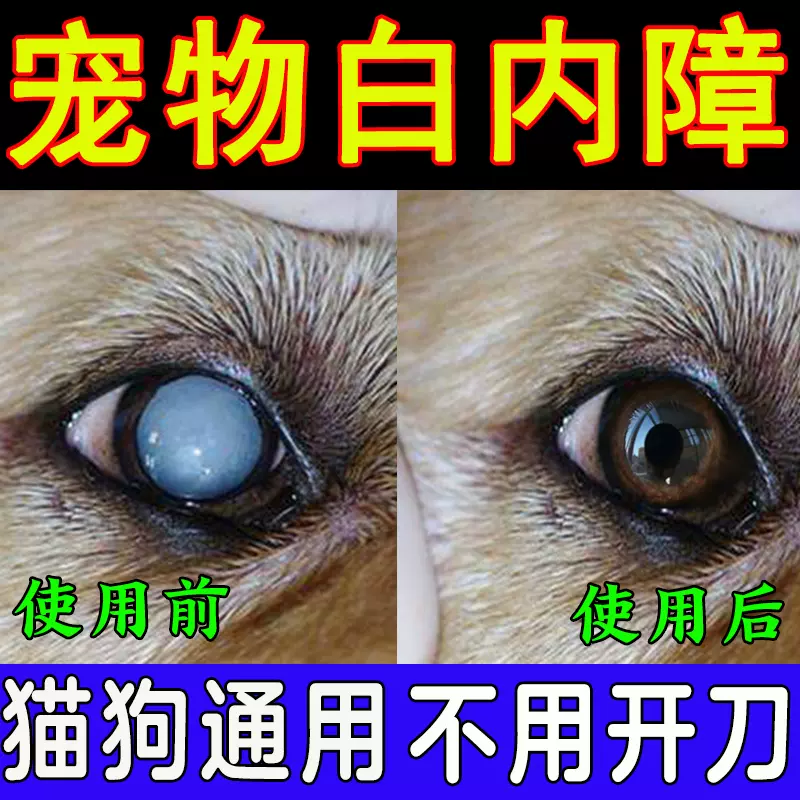 狗狗泪痕液白内障滴眼液猫咪老年犬抑制初期角膜炎青光眼