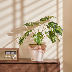 Forest Space Artificial Green Plants Indoor Living Room Office Desktop Small Potted Plant Ornaments High-End Simple Decoration