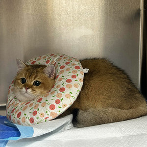 
Elizabeth collar cat and dog sterilization collar anti-licking and anti-scratch soft collar adjustable collar pet supplies headgear