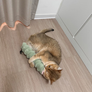 
Cat toys, self-stimulating and boredom relief artifacts, energy-consuming cat amusing sticks, catnip molar sticks, wooden Tianpo pet supplies