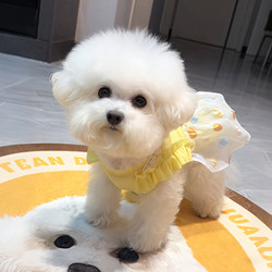 Pet Dog Clothes, Summer Thin Style, Anti-Shedding, Beautiful Vest Dress, Cat Dress, Small Dog, Teddy, Pomeranian