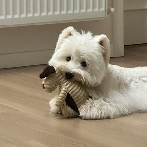 
Pet dog toys are resistant to chewing, grinding teeth, making sounds, self-pleasure and relieving boredom, small and medium-sized dogs West Highland consumes physical energy