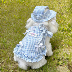 Pet Dog Clothes for Small Dogs, Summer Thin Style, Cat Suspender Dress, Hat, Beautiful Outing Outfit, 2026 New Model