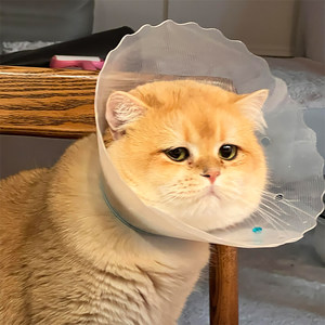 
Elizabeth circle cat sterilization circle neck scarf anti-licking and anti-scratch cover small and medium-sized dogs Bichon Frize circle of shame pet supplies