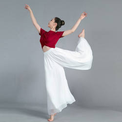 Modern Dance Practice Pants, Loose and Flowing, White Chiffon Wide-Leg Pants, Classical Dance Costume, Slimming Performance Outfit