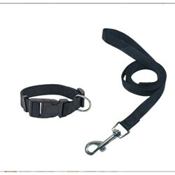 Dog Leash, Cat and Dog Collar, Small Dog, Puppy, Cat, Teddy, Corgi, Dog Walking, Extended Rope, Pet Supplies