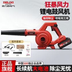 Delixi Blower Rechargeable Small Lithium Battery Blower High-Power Industrial Dual-Purpose Computer Dust Cleaner