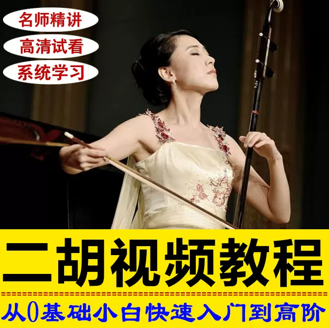 二胡视频教学零基础自学网课教程演奏入门到精通考级全套系统