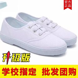 New White Shoes for Men and Women, Canvas Shoes, Gymnastics and Dance Performance Shoes, White Sneakers, Morning Exercise Martial Arts Shoes, Nurse Work White Shoes