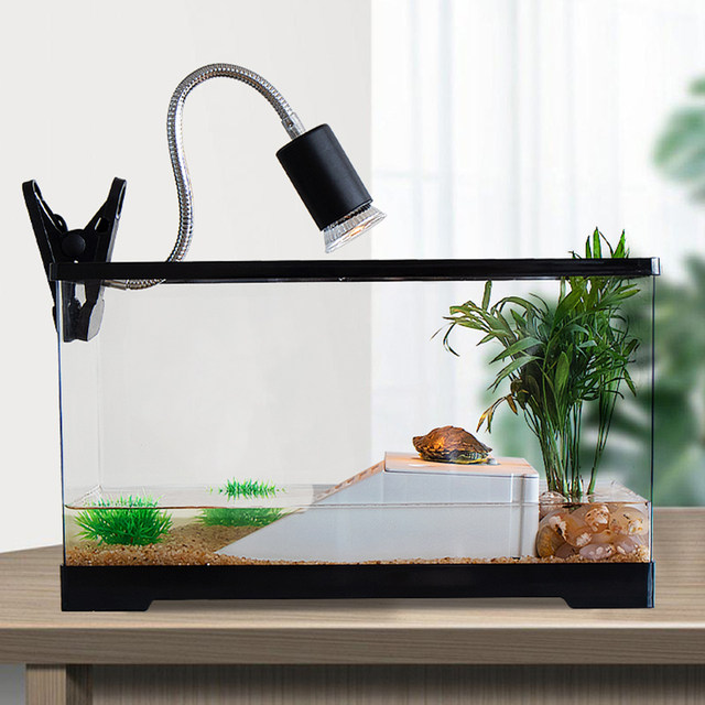 Turtle tank home with sun terrace climbing platform ecological acrylic ...