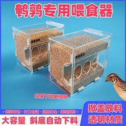 Quail-Specific Automatic Feeding Device to Reduce Pecking and Spillage of Feed, White Sand Feed Box