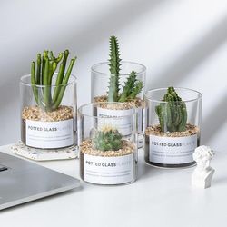 Casual Scandinavian ins Transparent Glass Vase Succulent Hydroponic Straight Glass Flower Pot Cactus Gardening Bottle
