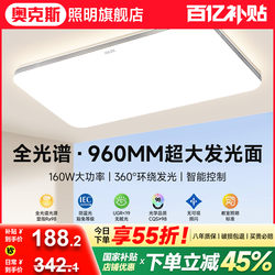 Living Room Main Light, Modern and Simple, Guangdong Main Living Room Ceiling Light, Zhongshan Lighting Fixtures, Whole House 2025 New Model Led Hall Light