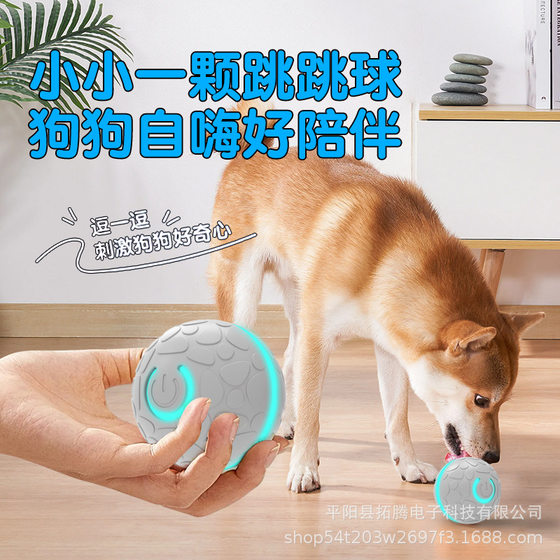 智能狗狗玩具球遛狗猫自嗨解闷宠物耐咬逗狗防拆家电动跳跳球