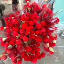 Thousand-Day Red Flower and Strawberry Dried Flower Bouquet, Living Room Decoration, DIY Sticky Flower, Handmade Photo Background Decoration