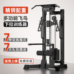 High Pull-Down Single-Side Small Bird's Nest Frame Comprehensive Training Multi-Functional Home Integrated Fitness Equipment Strength Station