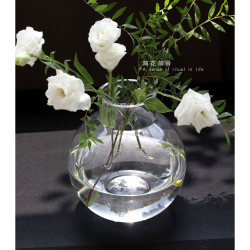 Scandinavian Style Simple Transparent Spherical Glass Vase Home Living Room Dining Table Flower Arrangement Hydroponic Flower Vase