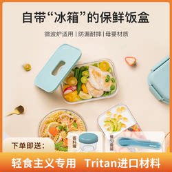 American Alamaid Food-Grade Insulated Lunch Box, Light Meal Salad Bento Box, Microwave Heating Preservation Box, Large Capacity