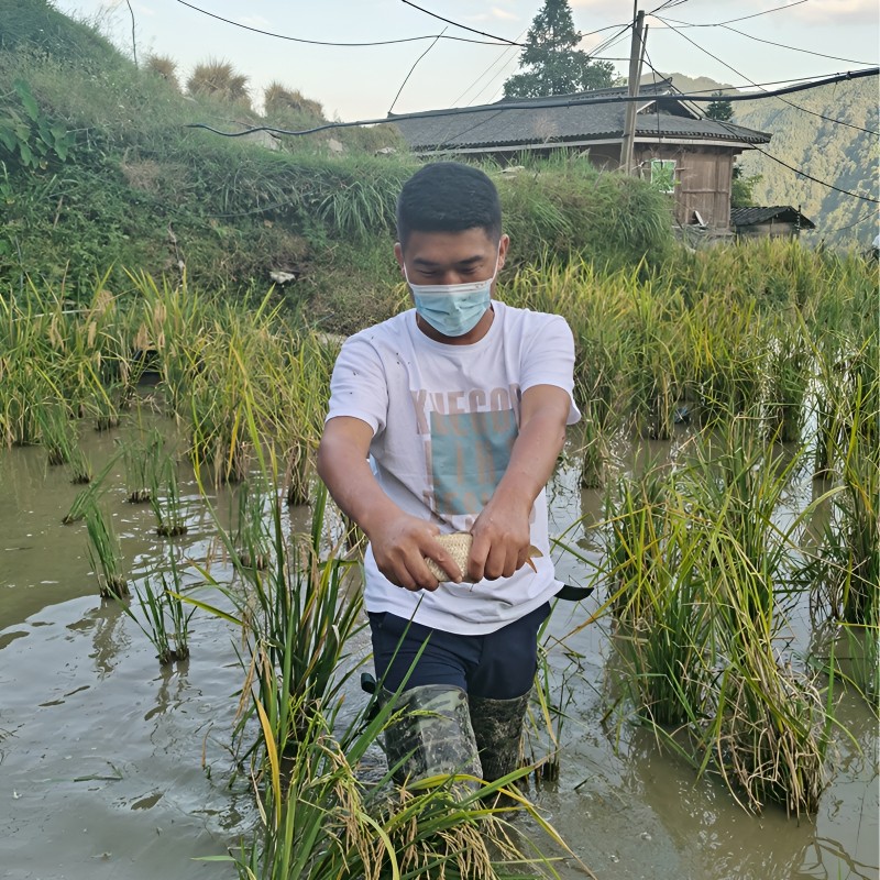 贵州贵阳旅游纯玩5日游纯玩小团自由行黄小西+镇远梵净山亲子游