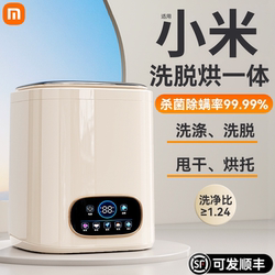 Underwear Washing Machine, Fully Automatic, Household, Washing, Drying, and Sterilizing All-In-One, Small, High-Temperature Sterilization, Special for Cleaning Socks