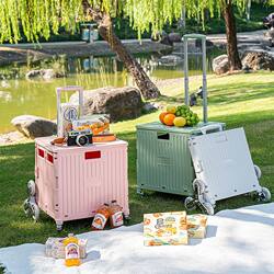 Folding Grocery Cart for Shopping, Popular Online, Household Use, Parcel Delivery, Hand-Pushed Cart, Market Stall Essential