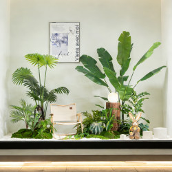 Camping-Style Indoor Artificial Plants Soft Decoration Display Cabinet Simulated Moss Green Plant Landscaping Traveler's Banana Decoration