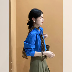 Klein Blue Polo Collar Loose Long-Sleeve Shirt for Women 2026, Very Stylish Early Spring High-End Upper-Class Top