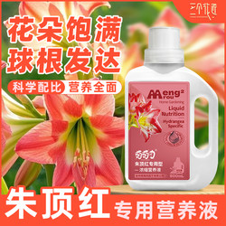 Amaryllis special nutrient solution flower fertilizer