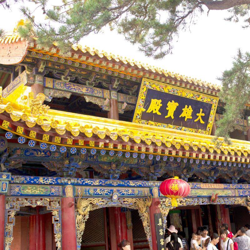 山西五台山+大同2天1晚跟团游丨五爷庙+云冈石窟+悬空寺太原往返