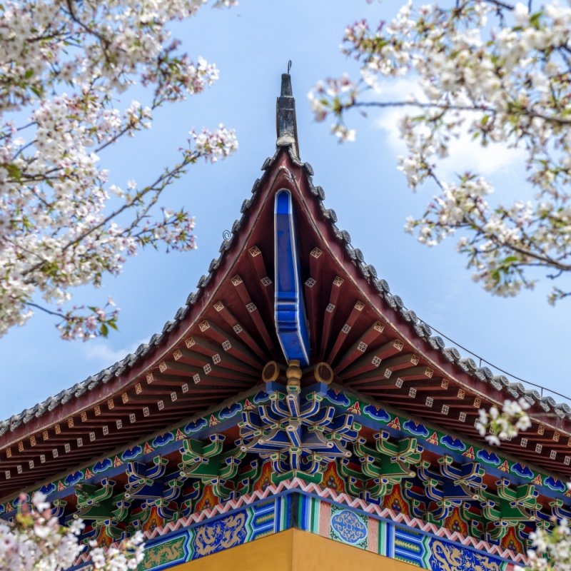 山西五台山+乔家大院+平遥古城2天1晚跟团游 含1早2正+平遥小景点