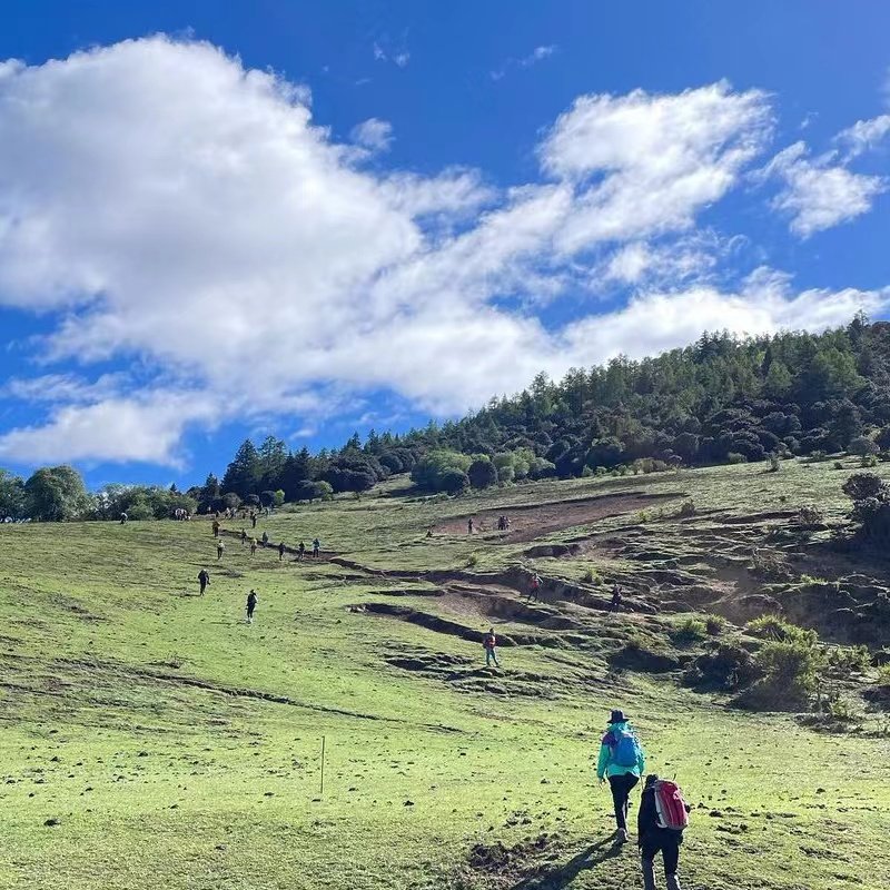丽江+香格里拉+虎跳峡亲子游6天5晚私家团 金茂凯悦&松赞酒店