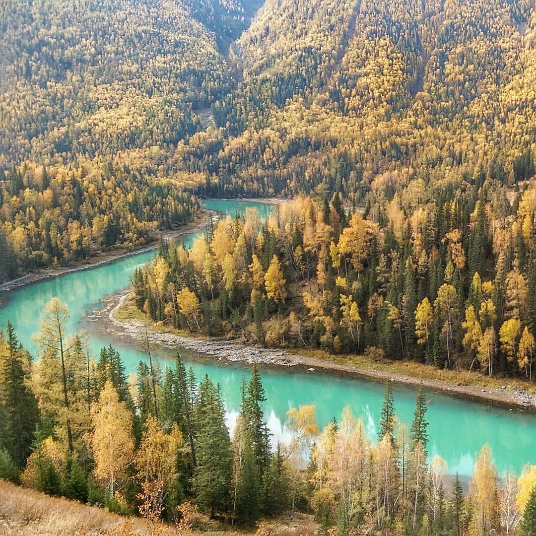 新疆旅游 北疆阿勒泰5天4晚私家团 禾木喀纳斯乌尔禾【景区美宿】