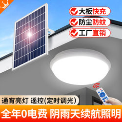 Solar Indoor Lighting for Home Use 2025 New Model Balcony and Indoor Special Lamp New Outdoor Courtyard Ceiling Light