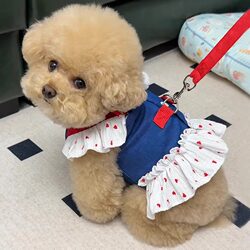 Dog Clothes Denim Cartoon Harness Dress Pet Harness Cat Princess Dress Thin Style for Small Dogs Like Teddy to Prevent Shedding