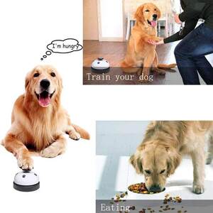 
Pet toy bell dog and cat training interactive toy called D