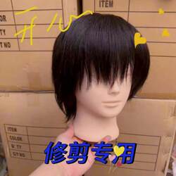 Real Hair Male Mannequin Head for Practicing Trimming, Perming, Dyeing, Curling, Blow-Drying, and Bleaching. Real Hair Male Mannequin Head