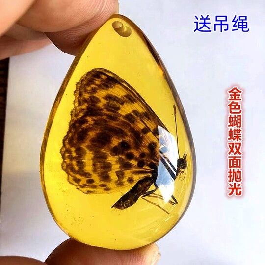 琥珀の中の蝶標本 Amazon.co.jp: Acxico 1個 美しい琥珀 蝶 化石 昆虫 手動研磨