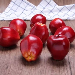 Simulated Fruit Model Fake Apple Red Green Apple Snake Fruit Prop Decoration New Year Prop Photography