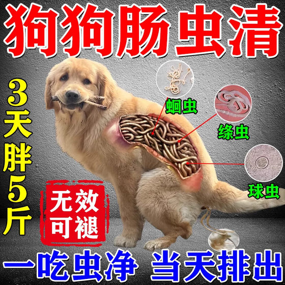 Dog anthelmintic medicine, in vivo and in vitro, for cats and dogs, universal two-in-one to prevent stomach parasites b