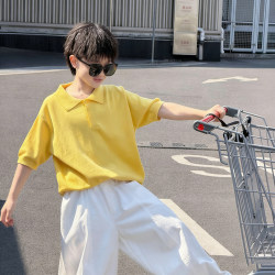 Boys' Half-Sleeve Summer Clothes 2026 New Korean Style Little Gentleman Children's Clothing Polo Shirt Cool Children's Short-Sleeve Summer Clothes