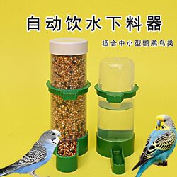 Parrot Water Feeder, Automatic Water Dispenser for Budgerigars and Lovebirds, Automatic Drinking Bottle, Feeder for Quail, Bird Food Box