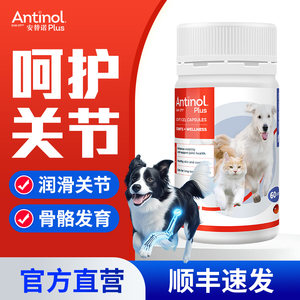 【总代直发】安替诺Antinol安适得软骨素狗猫关节安它诺髌骨养护
