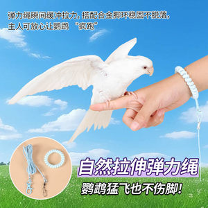 
Parrot fly rope does not hurt feet, ultra-light traction rope, tiger skin black phoenix and peony small sun anklet, anklet for walking birds
